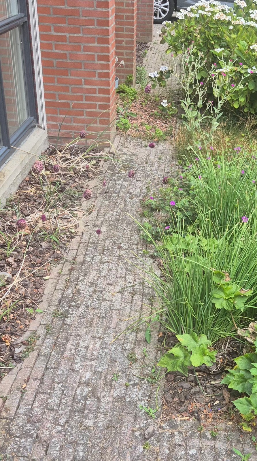 klinkers, Ophalen, Gebruikt, Beton, Klinkers