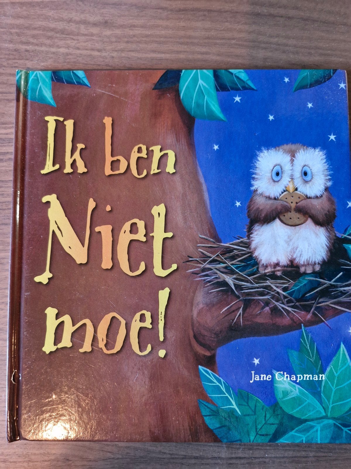 Ik ben Niet moe! - Prentenboek voor het slapengaan, Boeken, Ophalen of Verzenden, Zo goed als nieuw, Jane Chapman, 2 tot 3 jaar