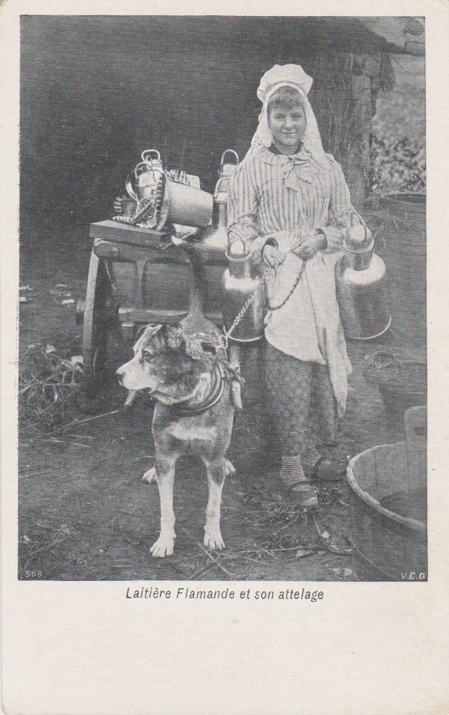Meisje met Hondenkar Melkkar. Mooie oude A.K., Verzenden, Voor 1920, Ongelopen, Hond of Kat