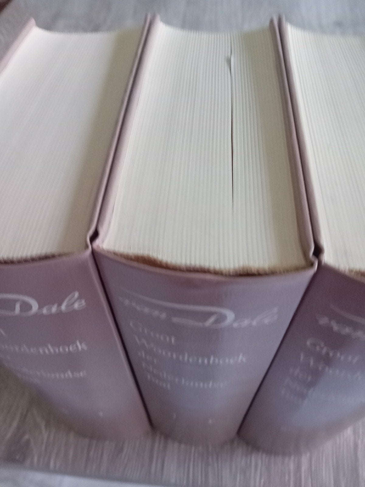 Boeken van dale groot woorden boek der Nederlandse taal van, Ophalen, Zo goed als nieuw, Van Dale, Nederlands
