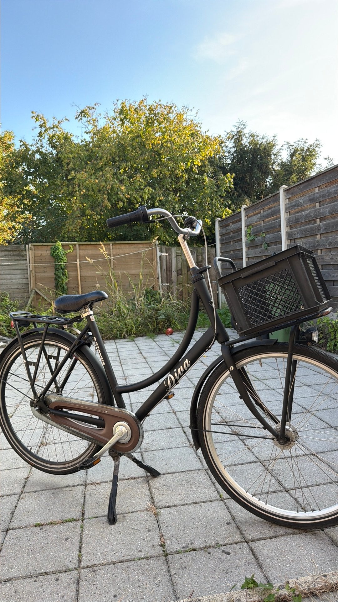Damesfiets Diva – Nette staat, 56 cm of meer, Ophalen of Verzenden, Zo goed als nieuw