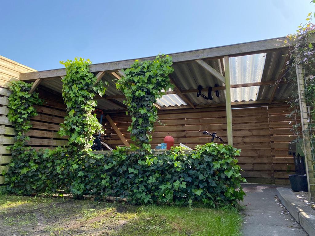 Tuin overkapping - gratis - verwijderen en ophalen in Stiens, Tuin en Terras, Overkappingen, Ophalen, Gebruikt, Overige typen