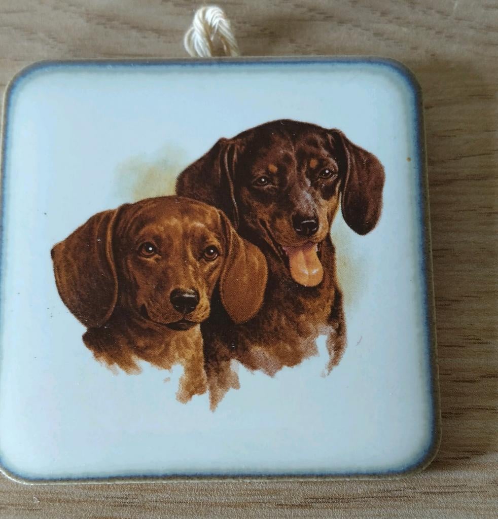 VINTAGE TEGELTJE MET KORTHARIGE TECKELS*MINI TEGEL TECKEL, Verzenden, Zo goed als nieuw, Steen/keramiek, Wandtegel