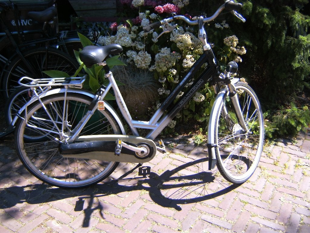 Dames  spot Fiets, Versnellingen, Zo goed als nieuw, 50 tot 53 cm, Ophalen