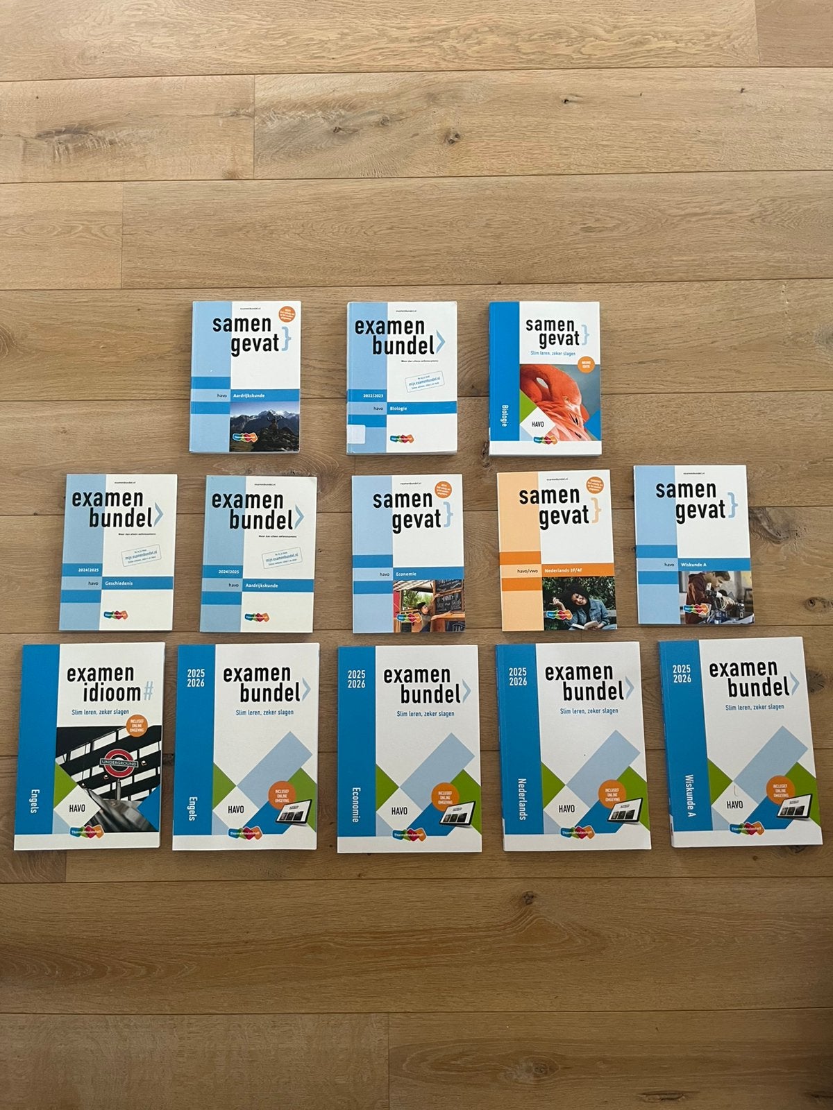 Examenbundels en supersamengevat havo, Ophalen of Verzenden, Beta, Zo goed als nieuw