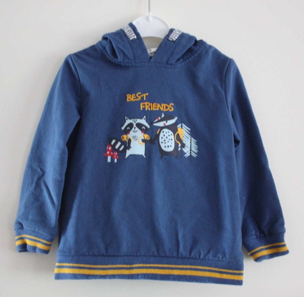 trui met wasberen maat 98, Ophalen of Verzenden, Gebruikt, Jongen, Trui of Vest