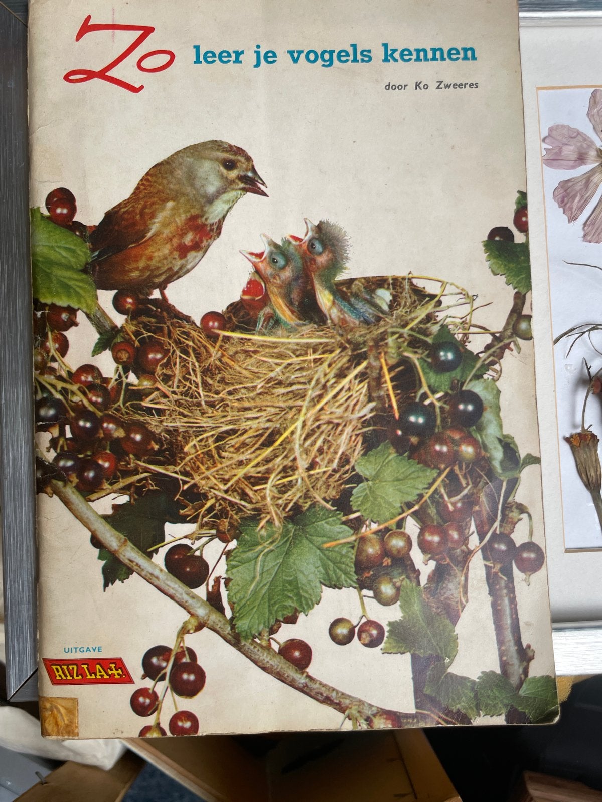 Zo leer je vogels kennen - Rizla uitgave (3 delen), Ophalen of Verzenden, Gelezen, Vogels