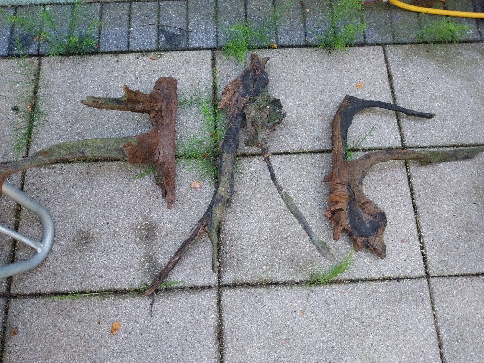 Gratis aquariumhout 3 stuks, Ophalen, Plant(en), Steen of Hout