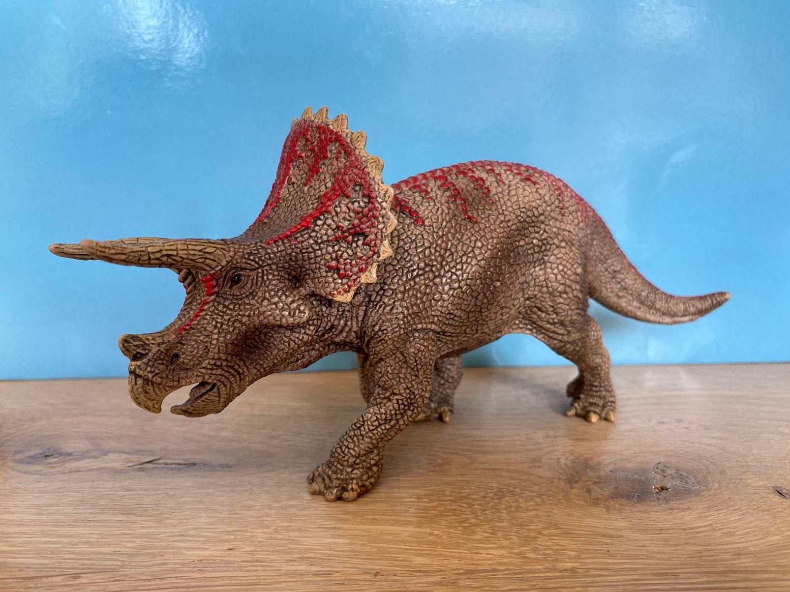 Schleich Triceratops Dinosaurus speelfiguur, Ophalen, Zo goed als nieuw