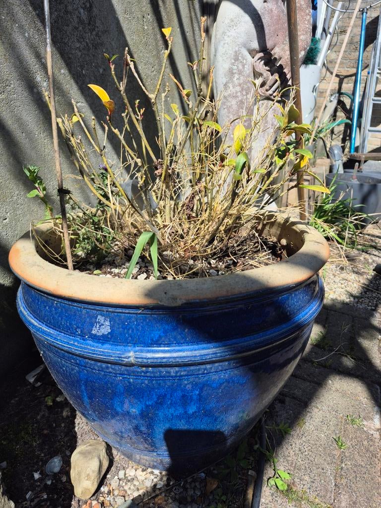 Grote winterharde keramische bloempot, blauw (45x36 cm), Tuin en Terras, Bloempotten, Gebruikt, Aardewerk, Balkon, Tuin, Minder dan 40 cm