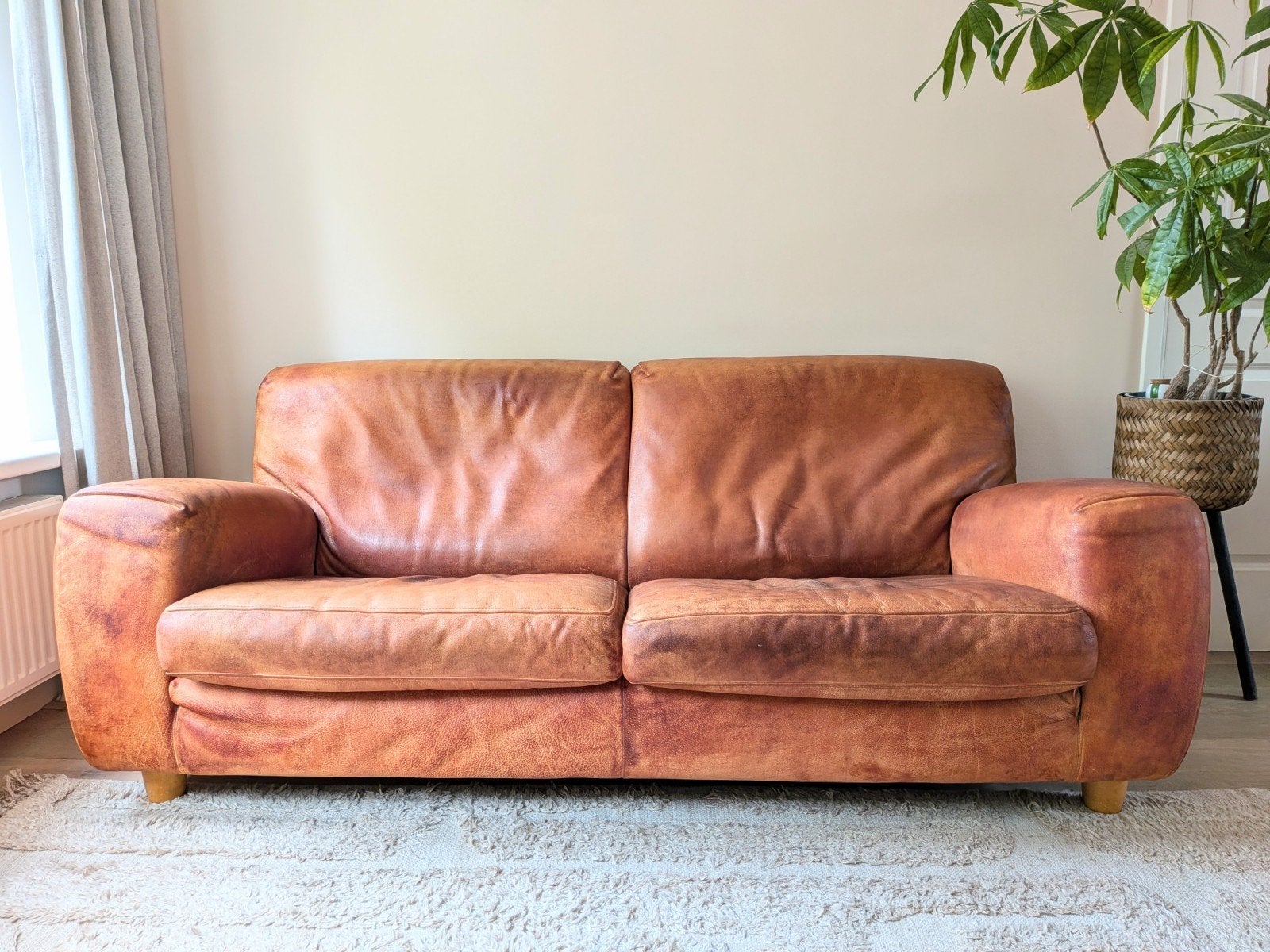 Molinari leren bank en fauteuil set - Italiaans Design, Ophalen, Gebruikt, Driepersoons, Rechte bank