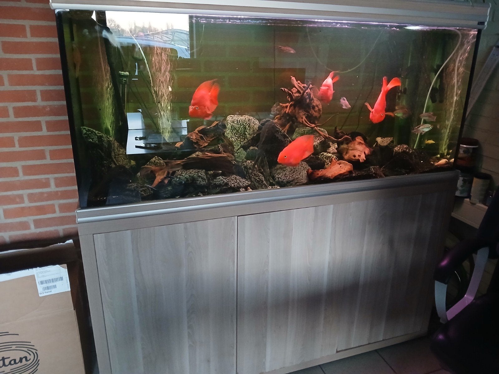 Aqualantis Fusion 150 cm, Ophalen, Leeg aquarium