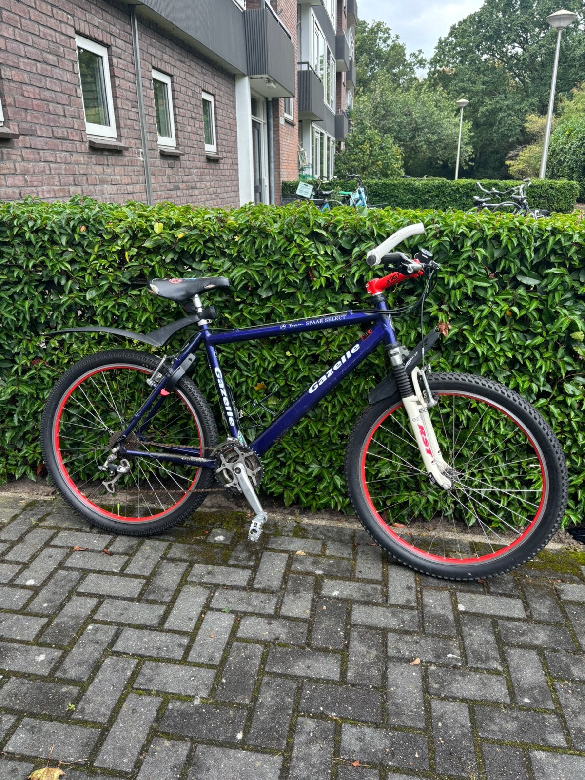 Gazelle Gold Line Mountainbike - 48 cm, Fietsen en Brommers, 45 tot 49 cm, Ophalen, Gebruikt, Gazelle