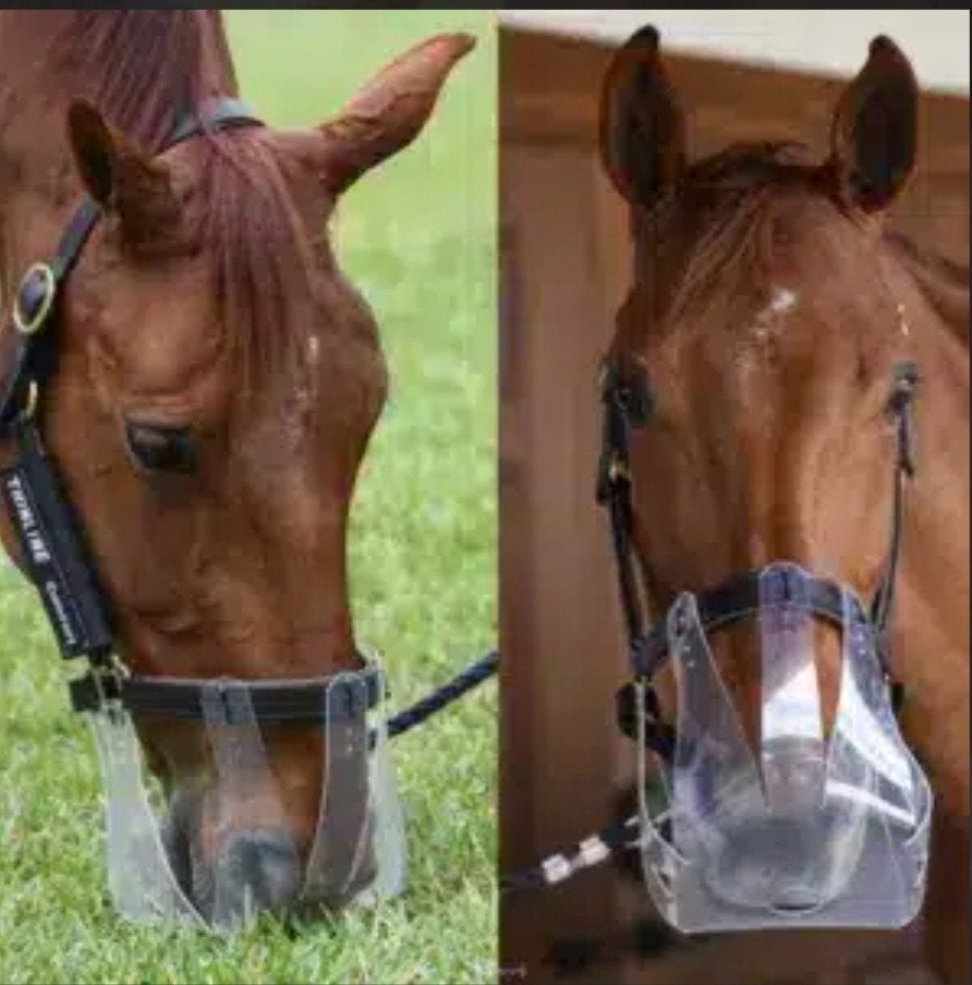 Thinline graasmaskers Maat mini/pony, Dieren en Toebehoren, Ophalen