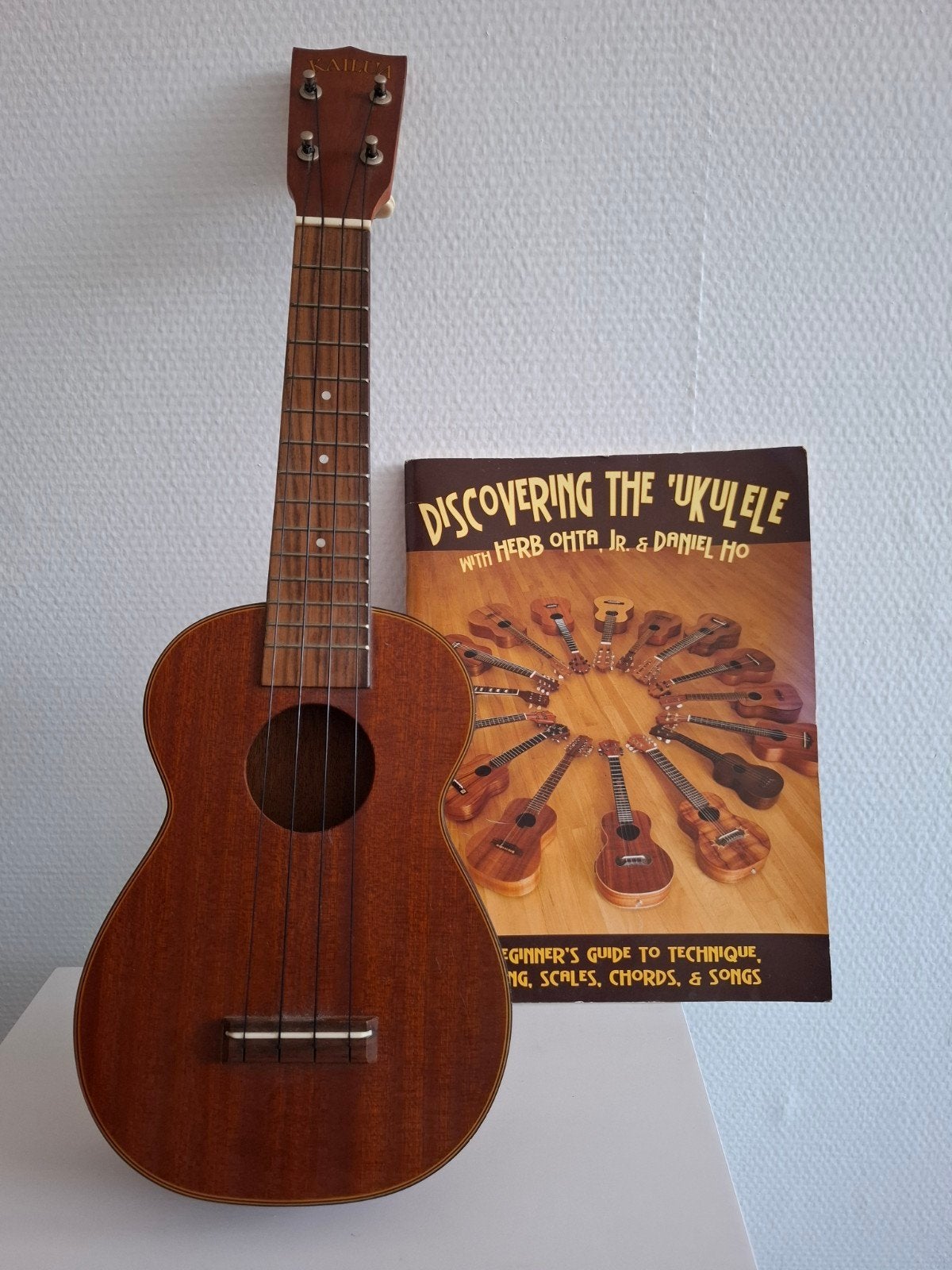 Ukelele met boek 'Discovering the Ukulele', Ophalen of Verzenden, Nieuw, Ukelele