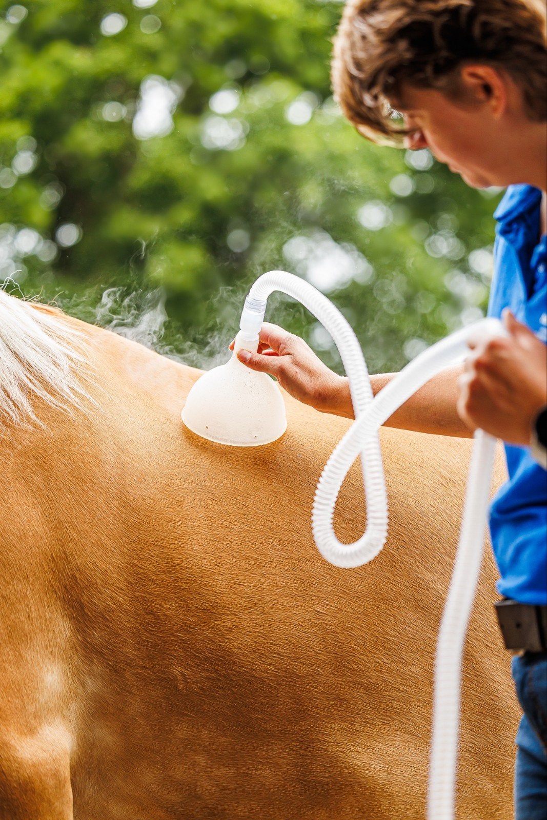 Nano CellCare therapie paard, hond en humaan, Ophalen, Nieuw