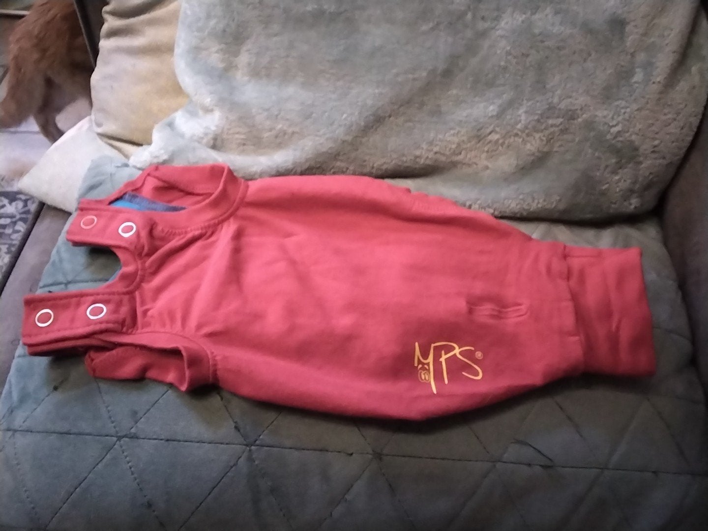 medical pet suplly romper voor na sterilisatie vd kat, Ophalen of Verzenden