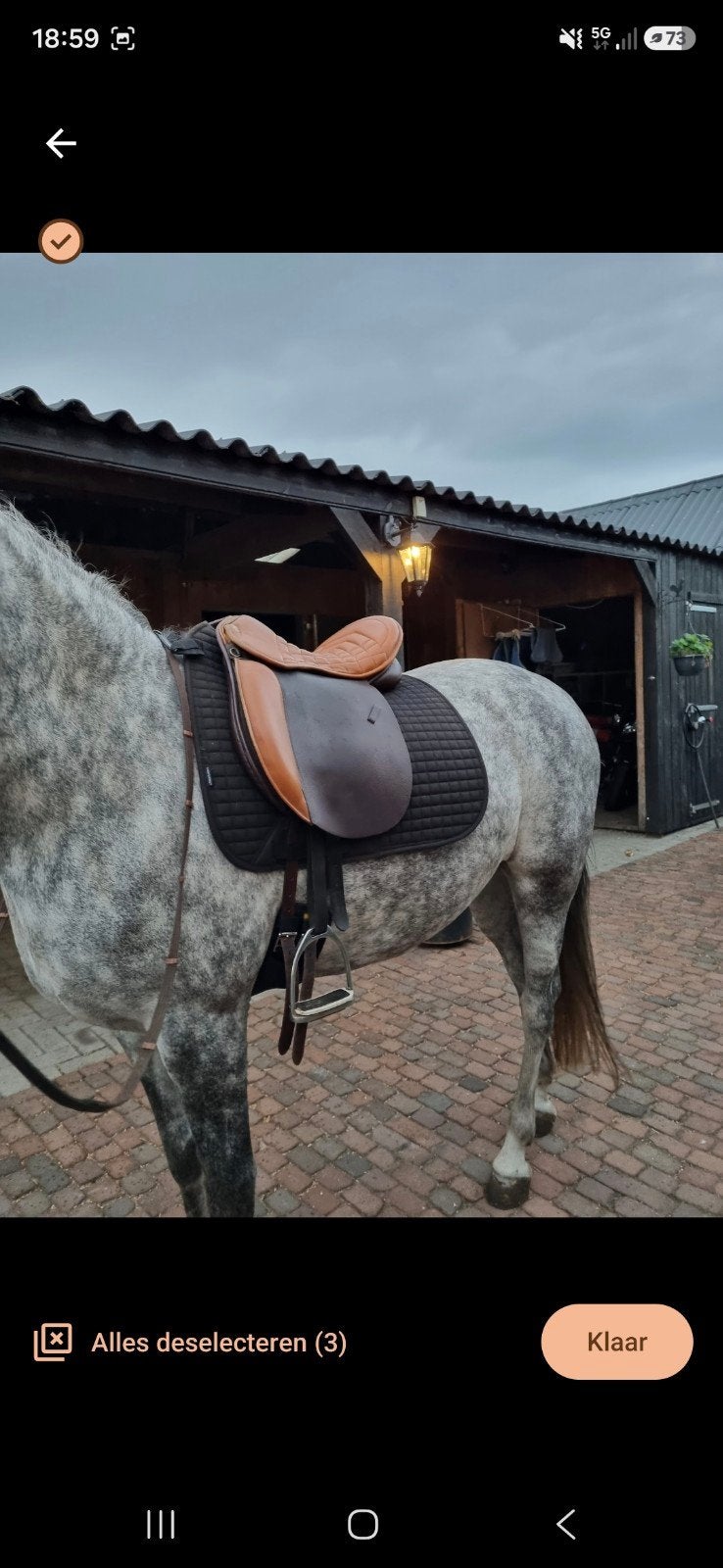 net masimo trail pony/paardenzadel, Dieren en Toebehoren, Ophalen, L (17.5 inch), Gebruikt, Massimo