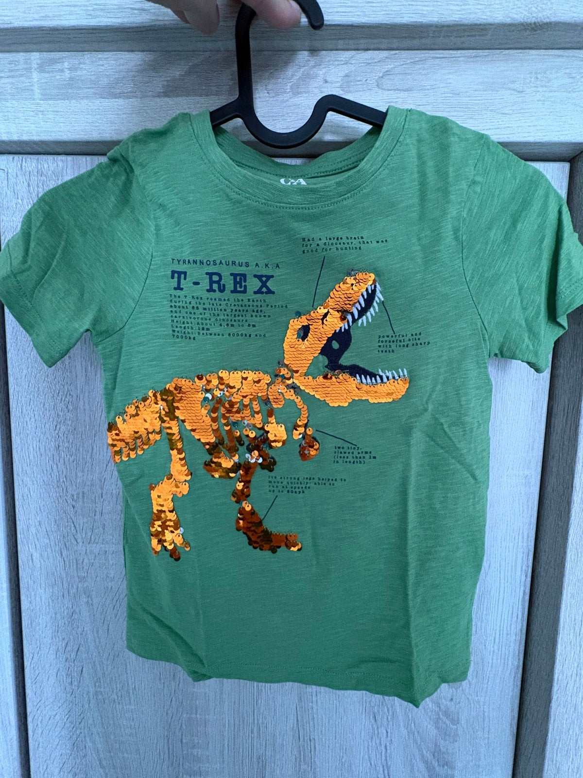 2 T-shirts - Maat 116: Dinosaurus & Monstertruck, Ophalen of Verzenden, Zo goed als nieuw, Jongen, Shirt of Longsleeve