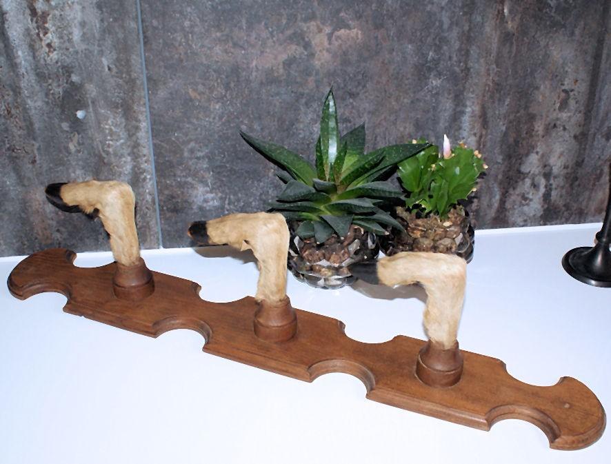 Eiken Kapstok/Rek met Taxidermie Ree-Pootjes, Antiek en Kunst, Ophalen of Verzenden