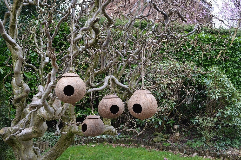 Vogelhuisjes / voederhuisjes BLOSSOM BROCANTE, Ophalen of Verzenden