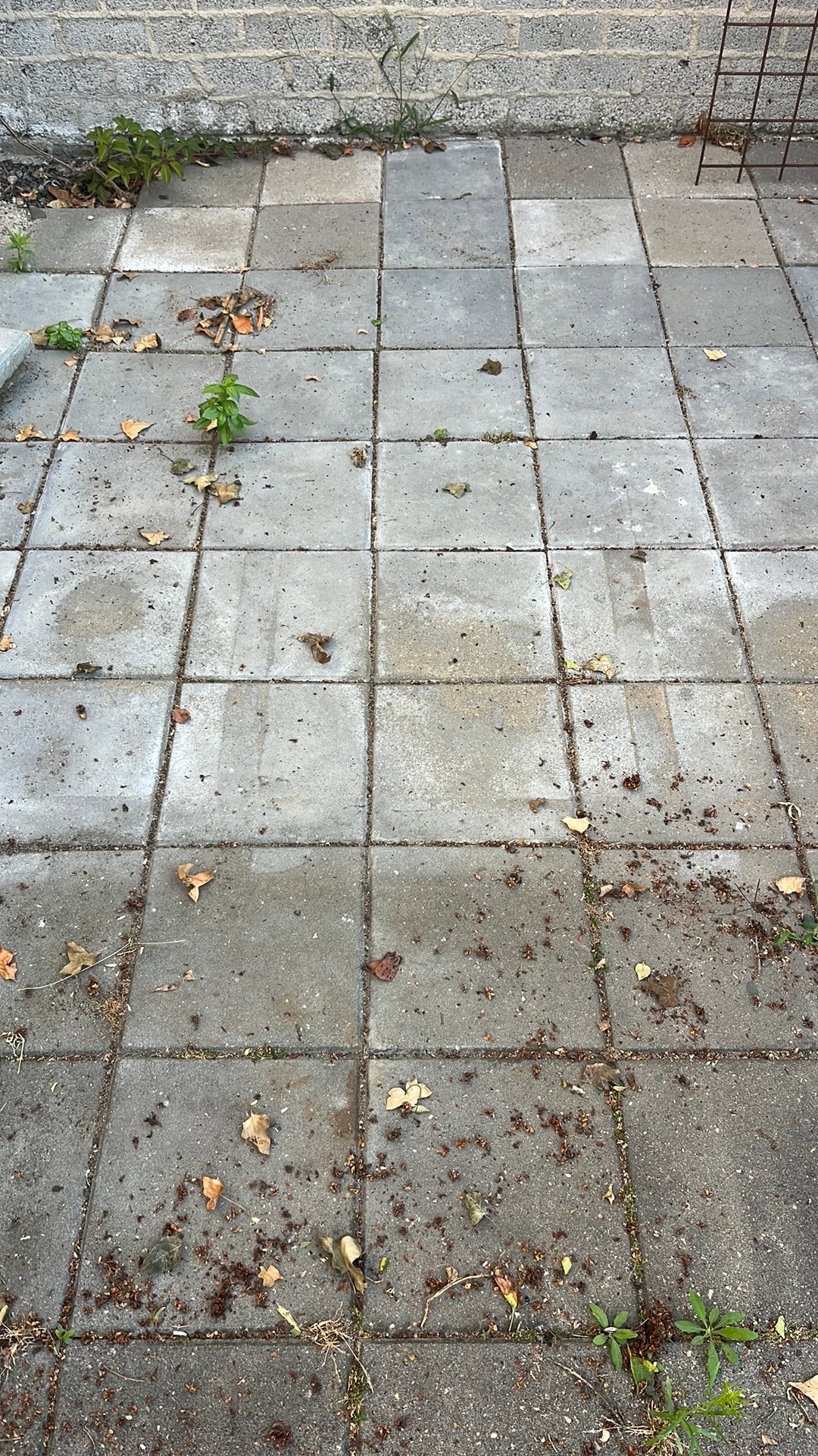 Stoeptegels, Ophalen, Zo goed als nieuw, Beton, Overige typen