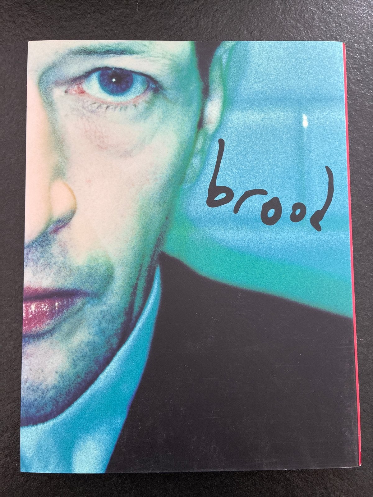 Brood: Het boek over Herman Brood, Ophalen of Verzenden, Zo goed als nieuw, Nederland