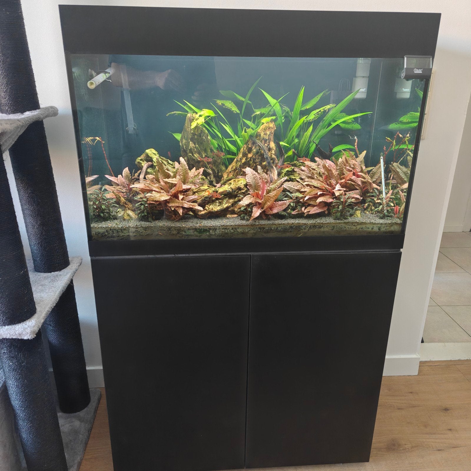 Oase StyleLine 175 Aquascape Set, Dieren en Toebehoren, Vissen | Aquaria en Toebehoren, Ophalen, Zo goed als nieuw, Leeg aquarium