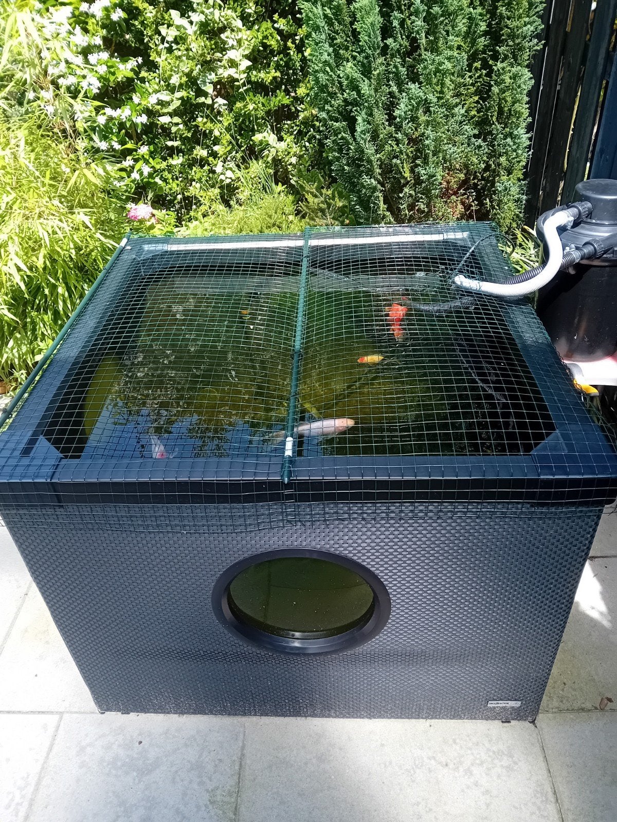 Vijver met drukfilter,1jaar oud. Met uv lamp., Ophalen, Vijverfilter