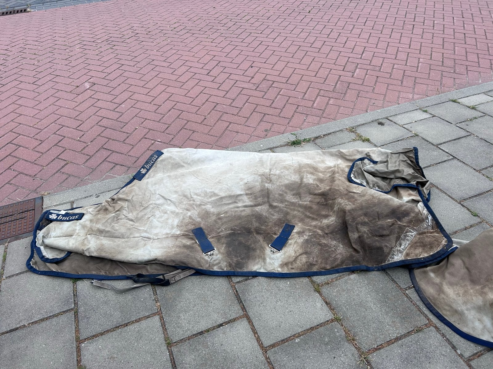 Bucas power turn-out light 6,6 inc hals, Dieren en Toebehoren, Ophalen of Verzenden, Gebruikt