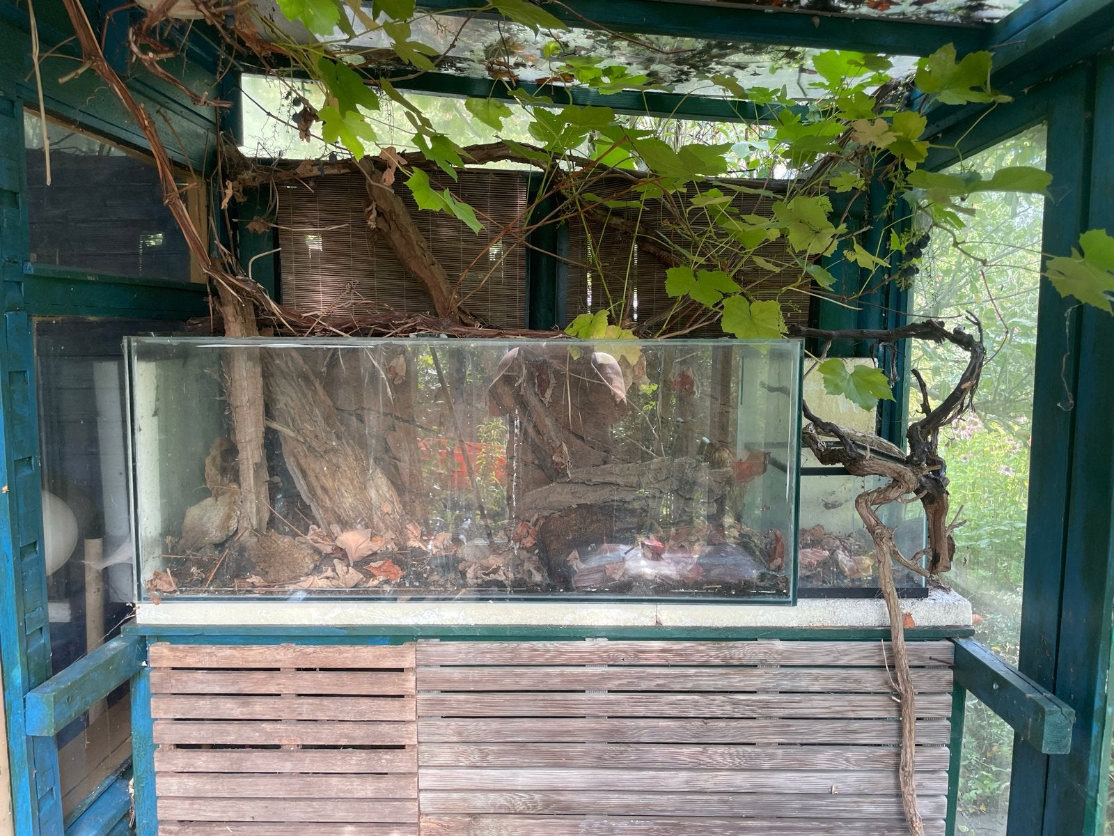 Terrarium en/of aquarium, Ophalen, Gebruikt, Leeg aquarium
