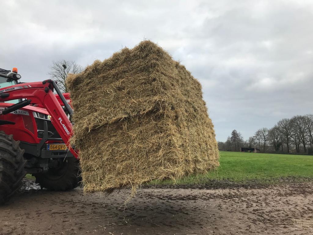 stro en hooi in kleine balen, Dieren en Toebehoren, Dierenvoeding, Ophalen, Vee