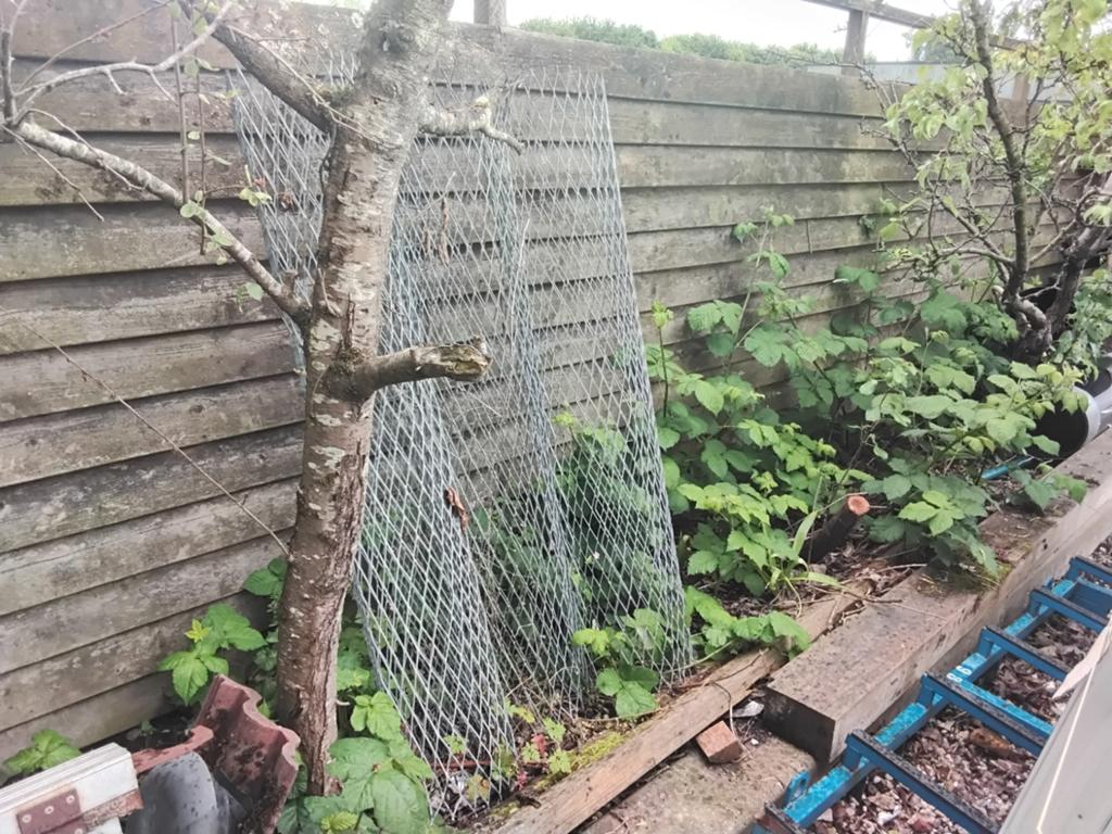 Boomkorven, Ophalen of Verzenden, Minder dan 10 meter