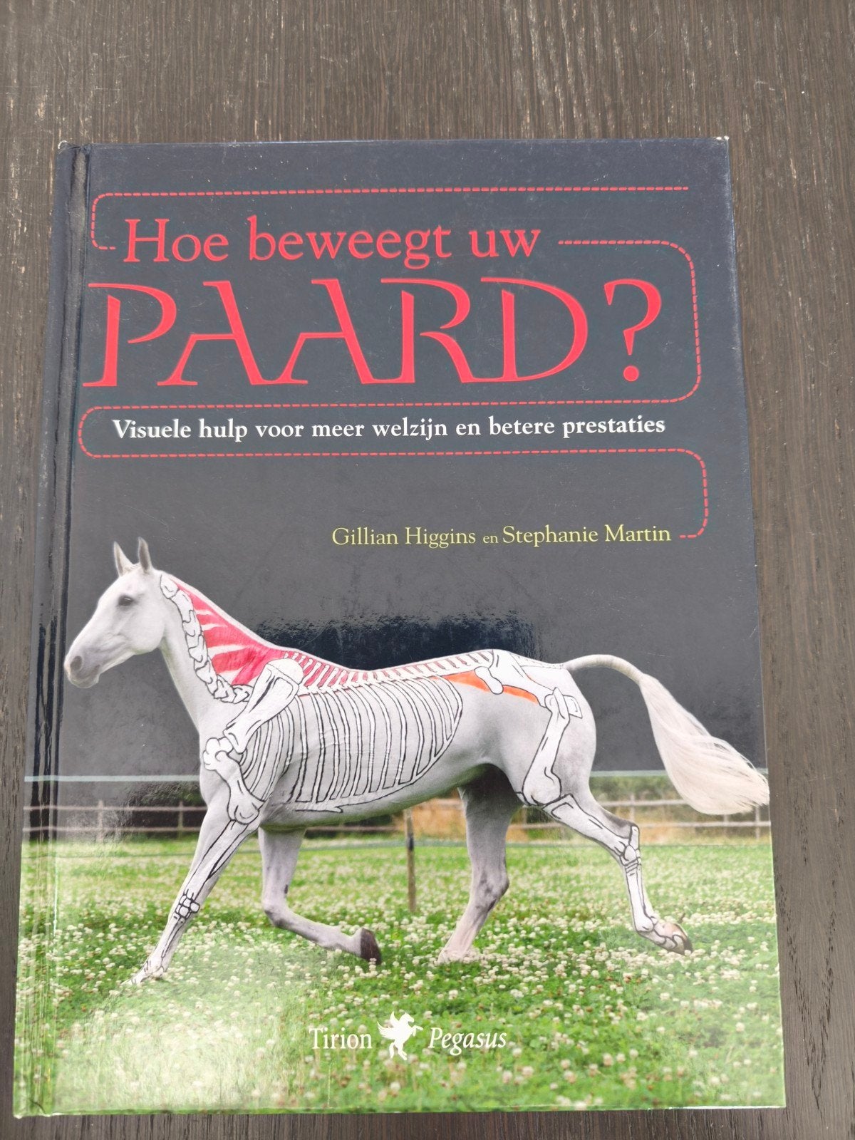 Boek: Hoe beweegt uw paard? Inzicht in paardenanatomie, Gelezen, Ophalen of Verzenden, Gillian Higgins en Stephanie Martin, Overige onderwerpen