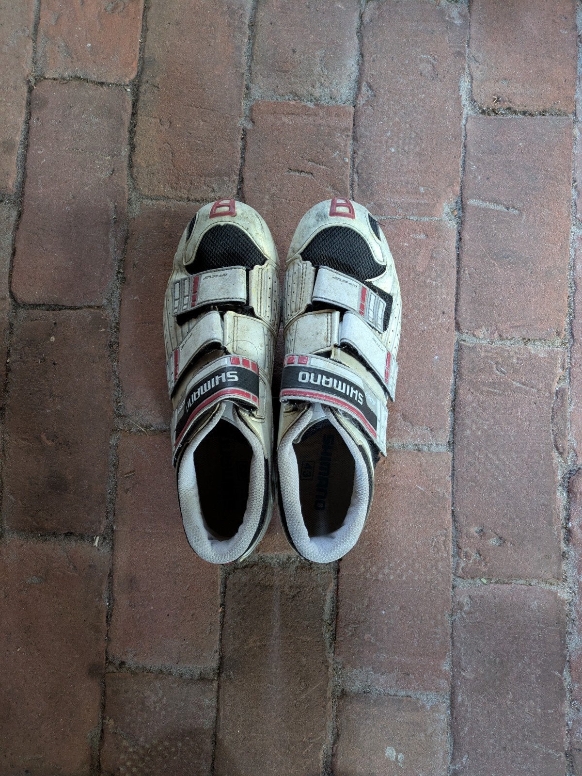 Fietsschoenen maat 43 gratis, Ophalen, Overige maten, Schoenen