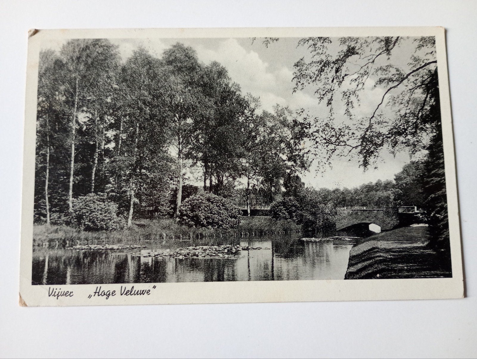 Hoenderloo Vijver Hoge Veluwe 1940, Ophalen of Verzenden, 1920 tot 1940, Gelopen, Gelderland