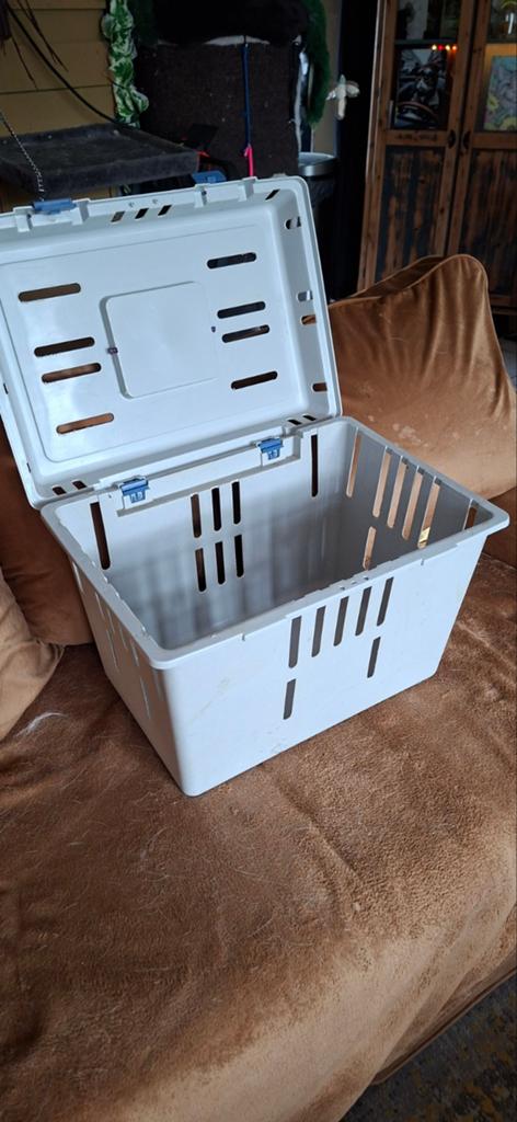 te koop katten  vervoersbox, Ophalen
