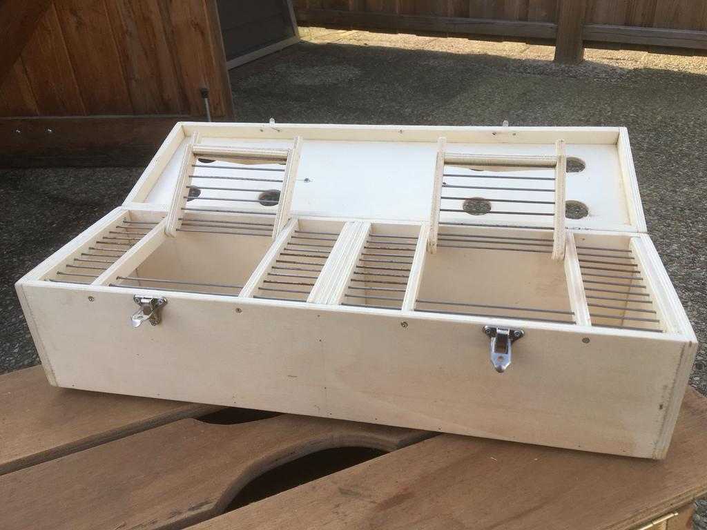 Transport kooi voor kanaries, Ophalen of Verzenden, Nieuw, Hout, Vogelkooi