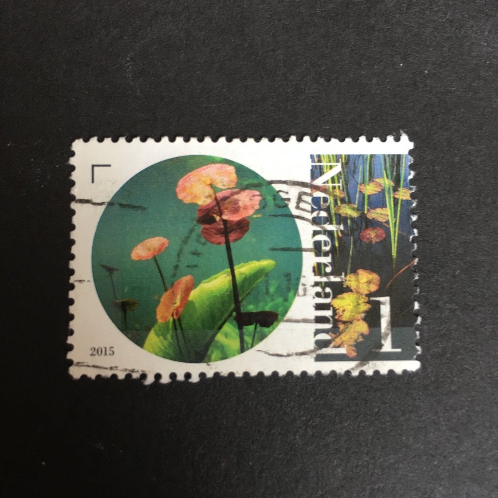 3248 Nederland 2015 NVPH 3297 Watergentiaan - gestempeld, Ophalen of Verzenden, Na 1940, Gestempeld