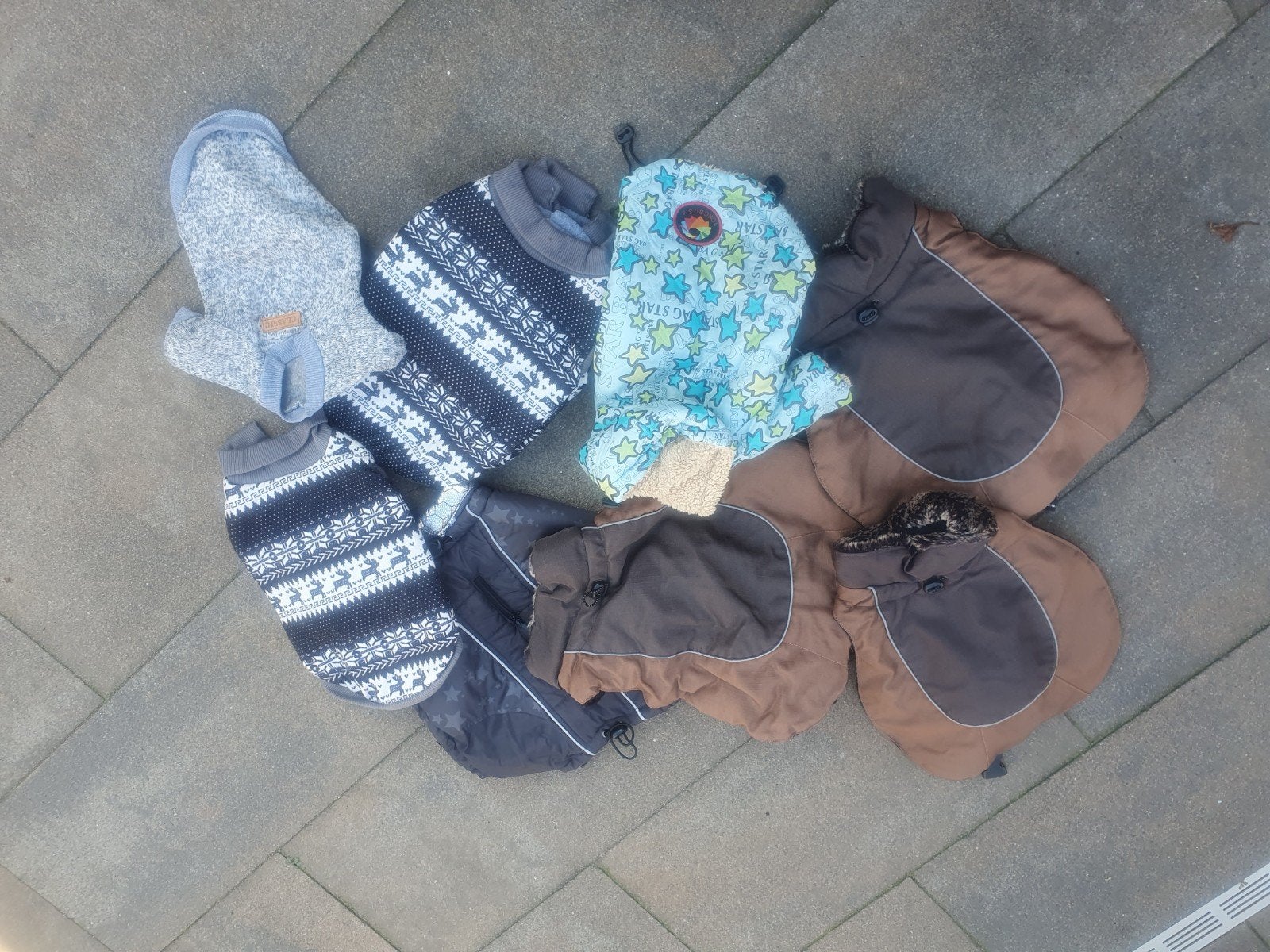 honden winterjasjes, Ophalen, Zo goed als nieuw