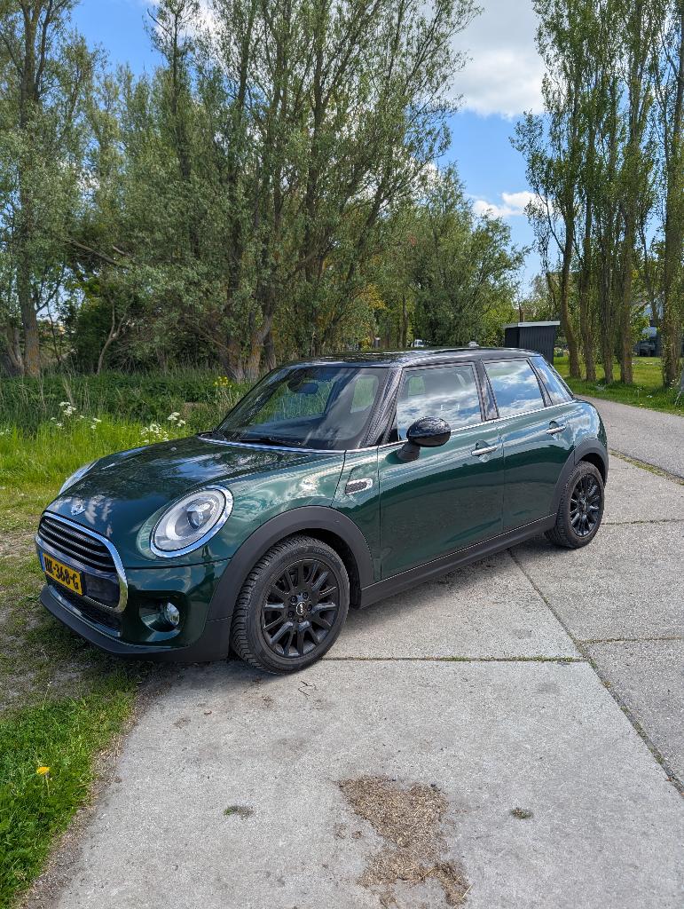 Mini Cooper 1.5 Pepper Business 136pk 2015 Groen, Auto's, Euro 6, 49 €/maand, Origineel Nederlands, Handgeschakeld