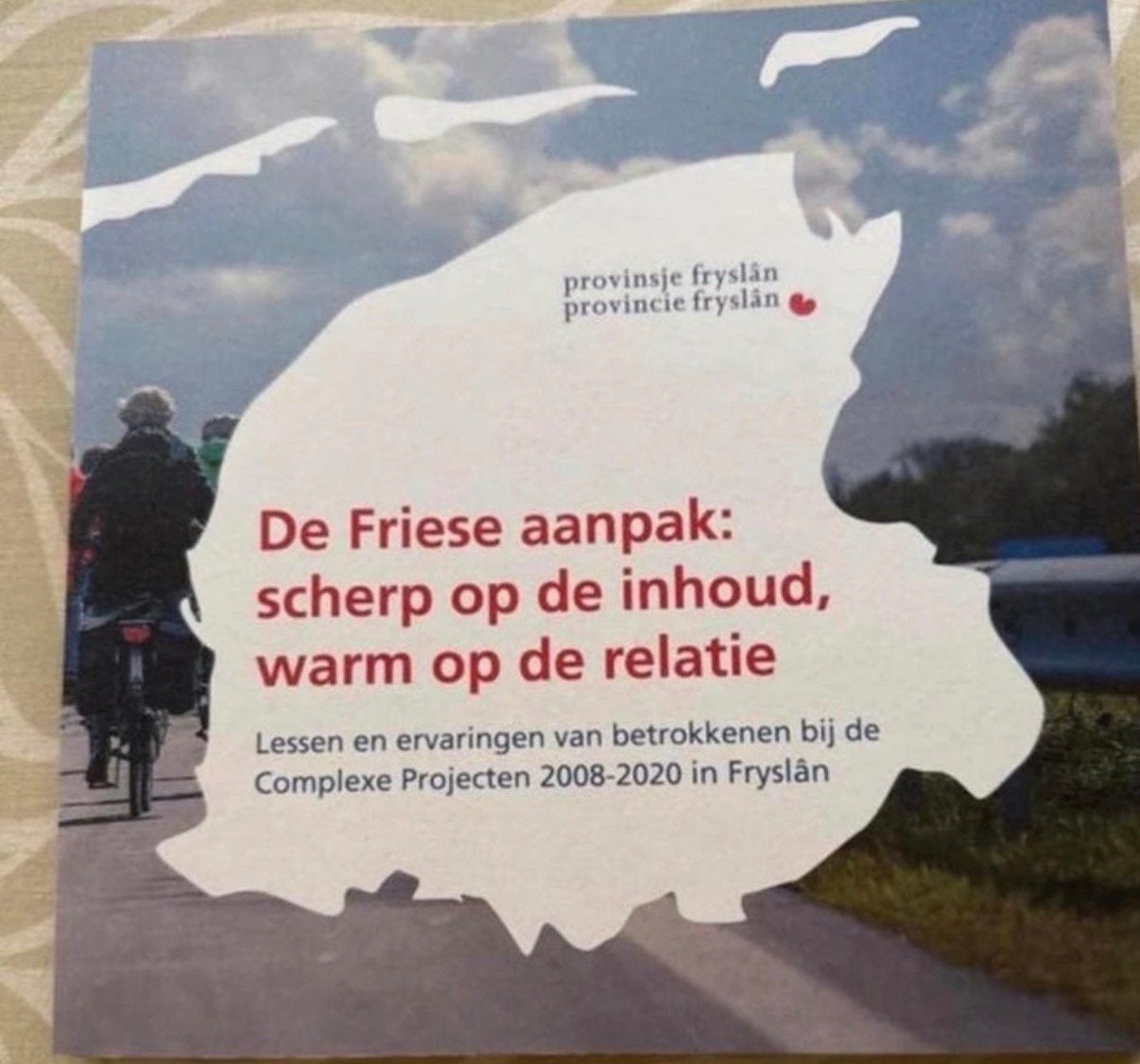 De Friese aanpak, Boeken, Ophalen of Verzenden, Zo goed als nieuw