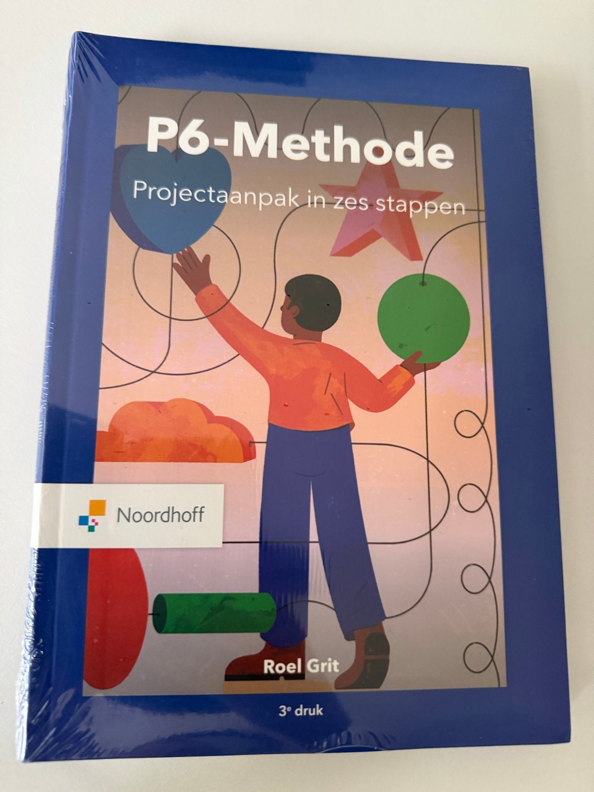 P6-Methode: Projectaanpak in zes stappen - Roel Grit, Ophalen of Verzenden, Gamma, Nieuw, HBO