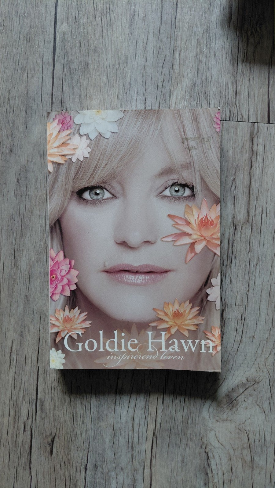 Goldie Hawn - Inspirerend Leven (Boek), Ophalen of Verzenden, Gelezen, Goldie Hawn, Overige