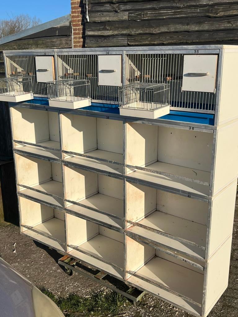 Te koop 4 stellingen  met 12 hokken, Ophalen of Verzenden, Zo goed als nieuw, Hout, Broedkooi of Kweekkooi