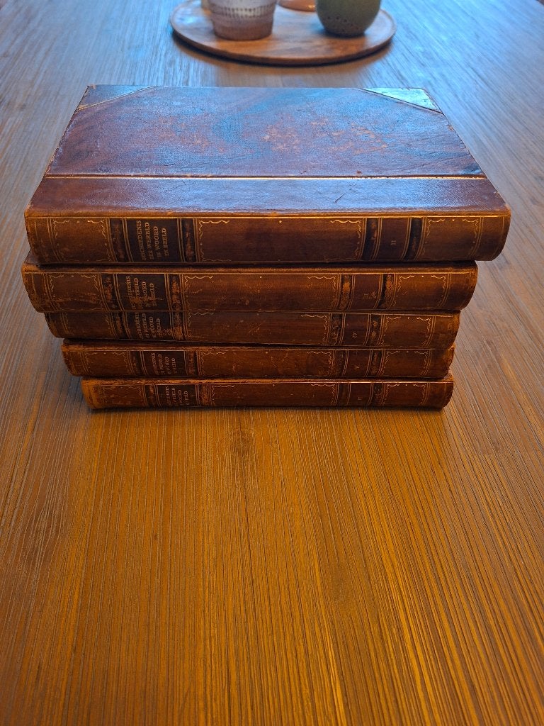 Oude boeken. "Geschiedenis der wereld in woord en beeld", Boeken, Geschiedenis | Wereld, Ophalen, Zo goed als nieuw, Overige gebieden