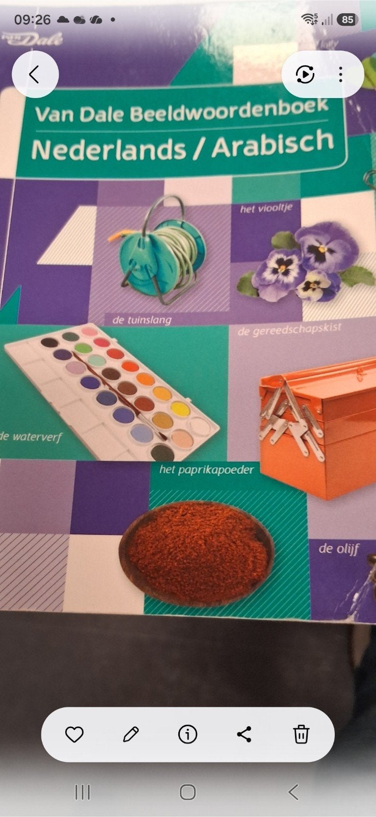 Van Dale Beeldwoordenboek Nederlands / Arabisch, Nederlands, Arabisch, Non-fictie, Van Dale, Ophalen of Verzenden
