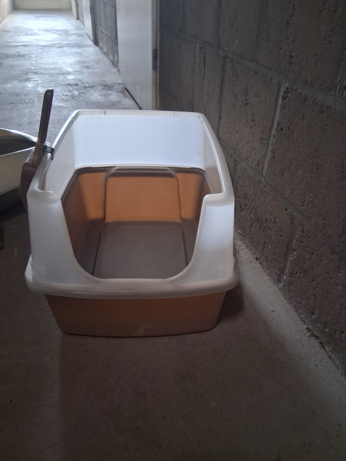 kattenbak,  kattenbak transportbox, voerbox, Ophalen of Verzenden