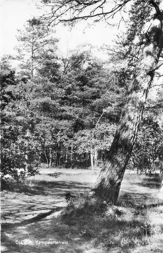 388-463-043 Diever Kampeerterrein, Verzenden, Voor 1920, Drenthe