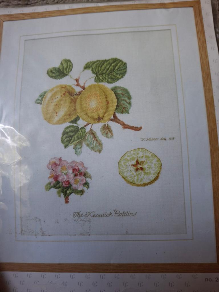 Appel, Ophalen of Verzenden, Nieuw, Borduurpakket